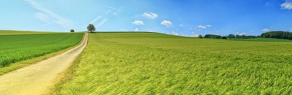 Calculer la plus-value d'un terrain
